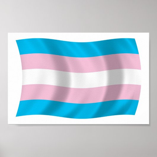 Transgender Pride Flag Poster Print ポスター (正面)