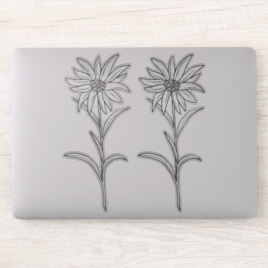 Transparant Edelweiss シール (コンピューター)