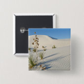 Transverse Dunes、Yucca、シャドウ 缶バッジ (正面&裏面)
