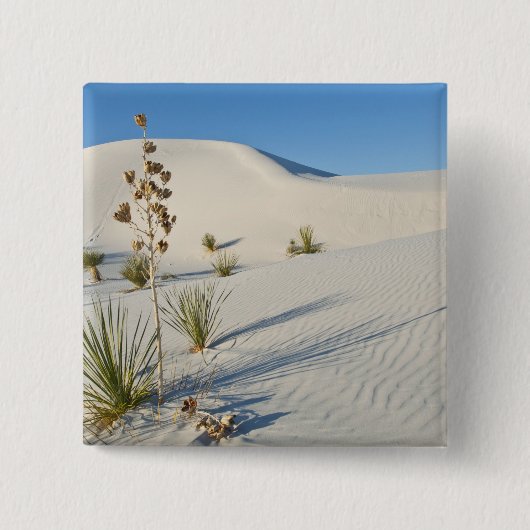 Transverse Dunes、Yucca、シャドウ 缶バッジ (正面)