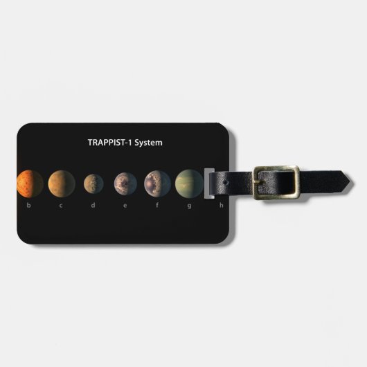 Trappist-1の7つの惑星は何のように見えるかもしれない。 ラゲッジタグ (正面横)
