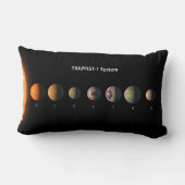 Trappist-1の7つの惑星は何のように見えるかもしれない。 ランバークッション (裏面)