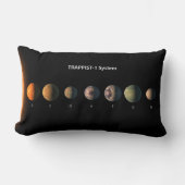 Trappist-1の7つの惑星は何のように見えるかもしれない。 ランバークッション (正面)