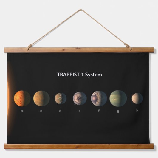 Trappist-1の7つの惑星は何のように見えるかもしれない。 吊り下げ型タペストリー (正面)