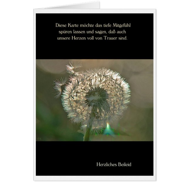 Trauerkarte Pusteblume Herzliches Beileid (正面)