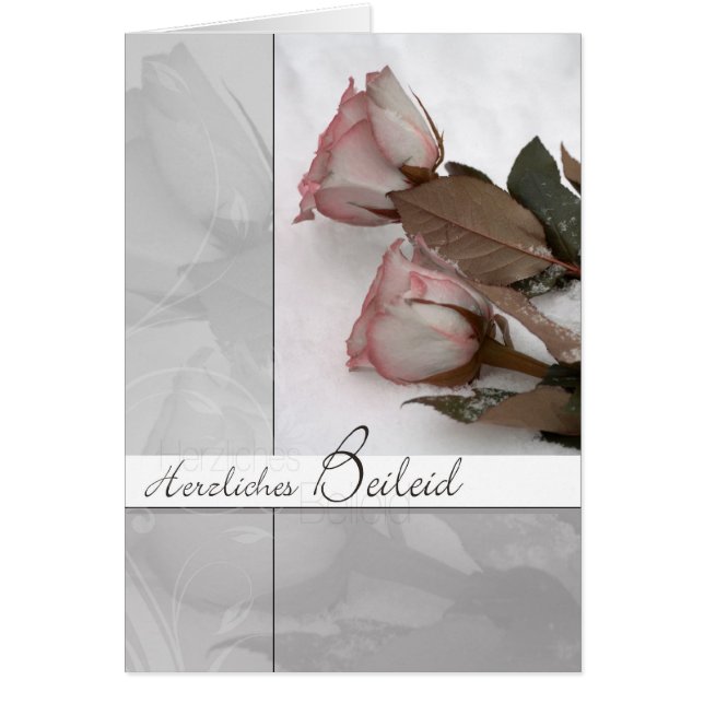 Trauermotiv: Rosen im Schnee (正面)