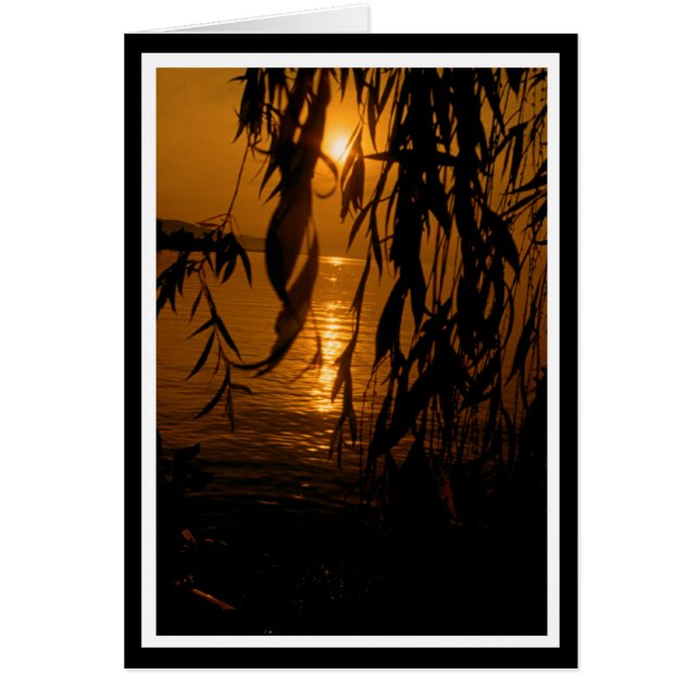 Trauerweide mit Sonnenuntergang Karte (正面)