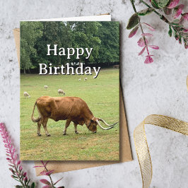 Travel Birthday Bull Sheep Farm Portugal Photo カード