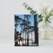 Travel | Florida - Cape San Blas Pines Sunset ポストカード (スタンド正面)