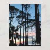 Travel | Florida - Cape San Blas Pines Sunset ポストカード (正面)