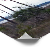 Travel | Florida - Eagles Nest, St. Marks Wildlife ポスター (角)