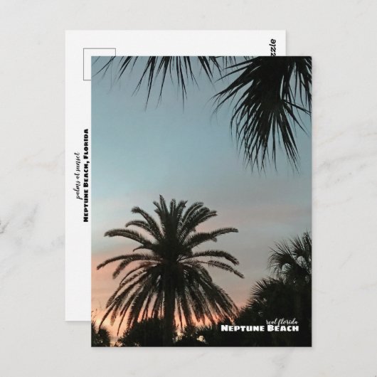 Travel | Florida - Neptune Beach Pink Sunset Palms ポストカード (正面/裏面)