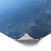 Travel | Florida - Old Cypress Tree, Wacissa River ポスター (角)