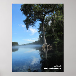 Travel | Florida - Old Cypress Tree, Wacissa River ポスター