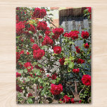 Travel France Red Roses ジグソーパズル<br><div class="desc">I took this photograph one day while walking down a street in France.
Climbing red roses in the sunlight almost obscuring a shuttered window and held by an old iron fence.
So romantic and nostalgic. I hope that you enjoy doing this puzzle!</div>