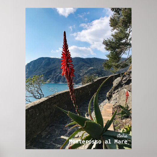 Travel | Italy ポスター (正面)