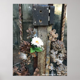 Travel | Italy - Monterosso al Mare old lock ポスター