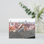 Travel photo. Estonia, Tallinn ポストカード (スタンド正面)