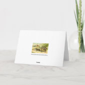 Traveling Cats Note Card カード (裏面)