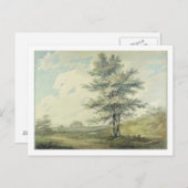 TreのヨセフMallordウィリアムターナー|の景色 ポストカード (正面/裏面)