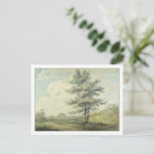 TreのヨセフMallordウィリアムターナー|の景色 ポストカード (スタンド正面)