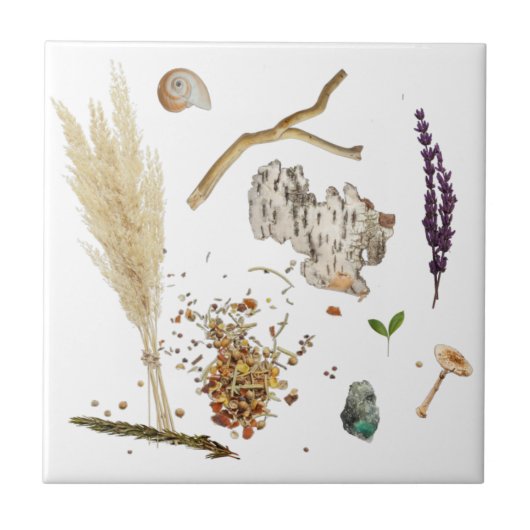 Treasures Ceramic Tile タイル (正面)