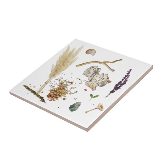 Treasures Ceramic Tile タイル (側面)