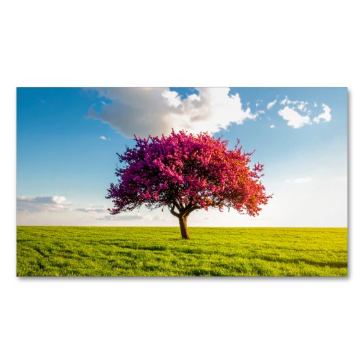 tree マグネット名刺 (正面)