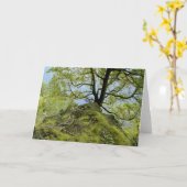 tree/湖Champlain カード (黄色い花)