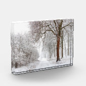 Tree Alley | Stupinigi Parc, Italy フォトブロック (左)