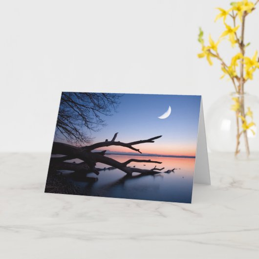 Tree at Starnberg Lake | Muensing Bavaria Germany カード (黄色い花)