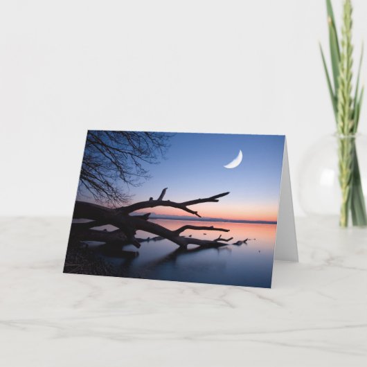 Tree at Starnberg Lake | Muensing Bavaria Germany カード (正面)