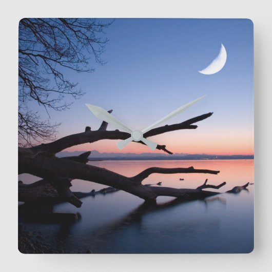 Tree at Starnberg Lake | Muensing Bavaria Germany スクエア壁時計 (正面)