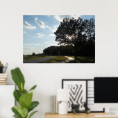 Tree at Valley Forgeポスター/プリント ポスター (ホームオフィス)