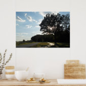 Tree at Valley Forgeポスター/プリント ポスター (キッチン)