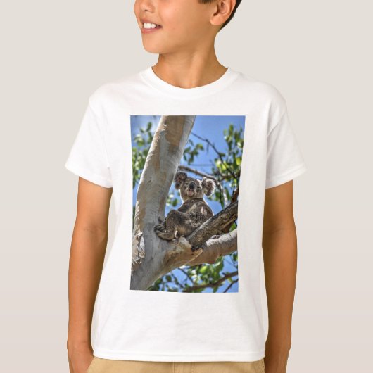 TREE AUSTRALIA ART EFFECTSのKOALA Tシャツ (正面)