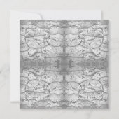 Tree Bark Black And White Photo Closeup Pattern    カード (裏面)