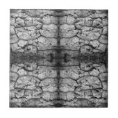 Tree Bark Black And White Photo Closeup Pattern タイル (正面)