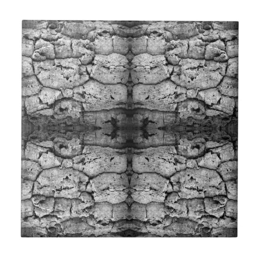 Tree Bark Black And White Photo Closeup Pattern タイル (正面)