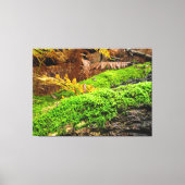 Tree Bark in Autumn Moss - キャンバスプリント (正面)
