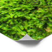 Tree Bark in Autumn Moss - Personalised ポスター (角)