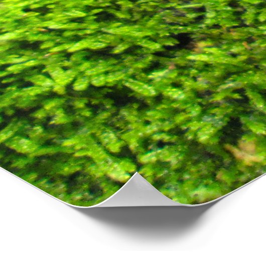 Tree Bark in Autumn Moss - Personalised ポスター (角)