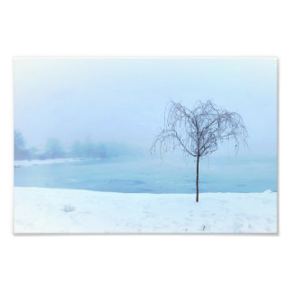 Tree by a Frozen Lake フォトプリント