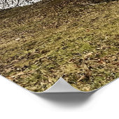 Tree by Pondポスター ポスター (角)