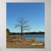 Tree by the River Poster ポスター (正面)