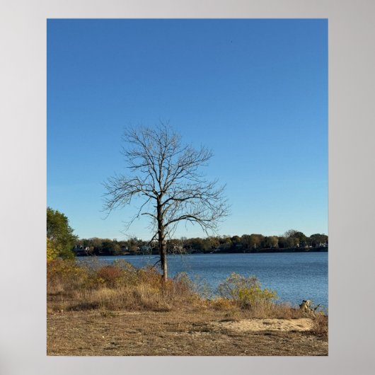 Tree by the River Poster ポスター (正面)
