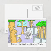 Tree Divorce: 面白いギフトTシャツ & コレクション ポストカード (正面/裏面)