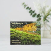 Tree Draped in Autumn Moss - Personalised ポストカード (スタンド正面)