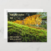 Tree Draped in Autumn Moss - Personalised ポストカード (正面/裏面)
