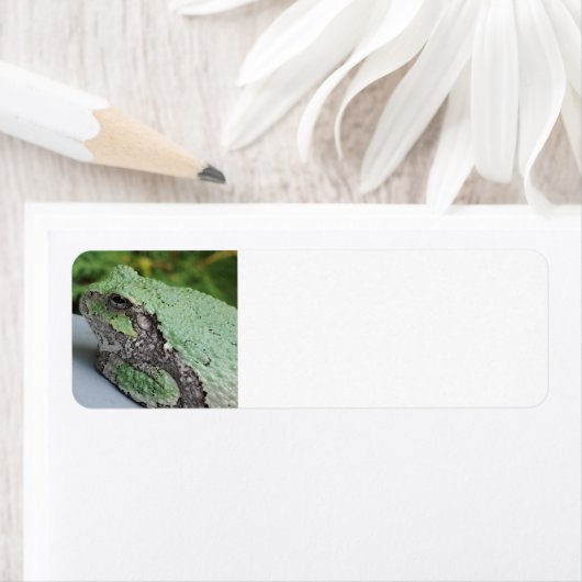 Tree Frog Returnラベル ラベル (インサイチュ)